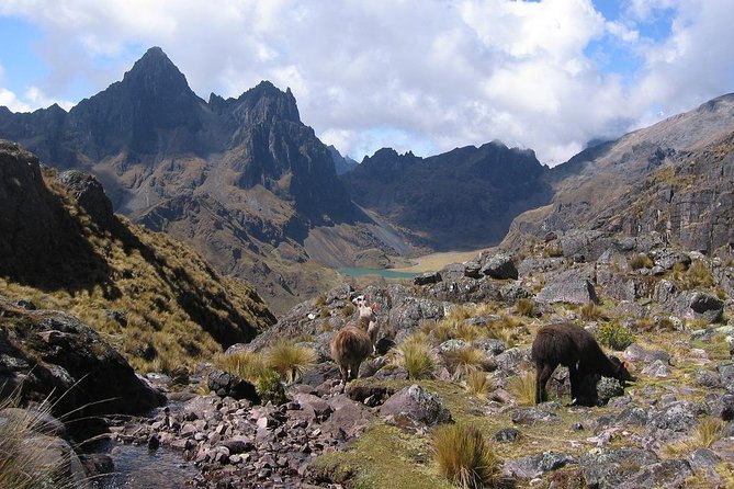 4 Day - Lares Trek to Machu Picchu - Group Service - Health Advisory