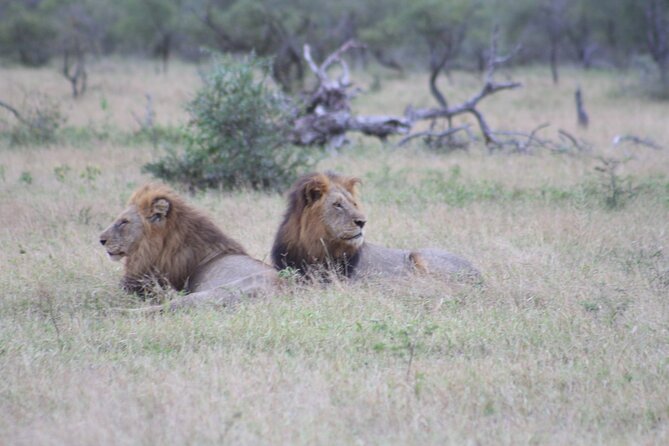 4 Day Private Kruger Under Canvas Safari - Packing Recommendations