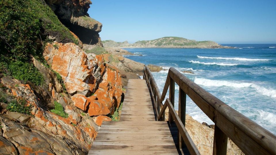 4 Day Small Group Garden Route Tour From Cape Town - Additional Activities