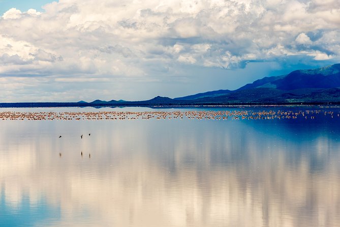 4-day Tanzania Safari - Health and Safety Information