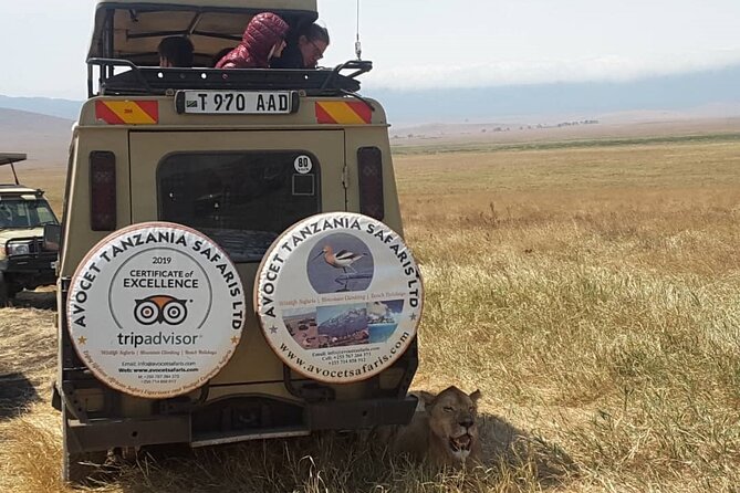 4 Days, 3 Nights Group Budget Safari, Lake Manyara, Serengeti, Ngorongoro - Accommodations and Meals