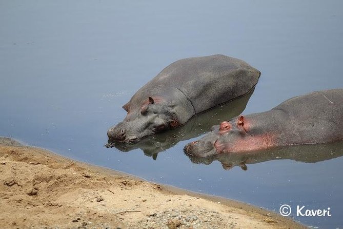 4 Days / 3 Nights Lake Manyara, Ngorongoro and Serengeti - Venture Into Ngorongoro Crater