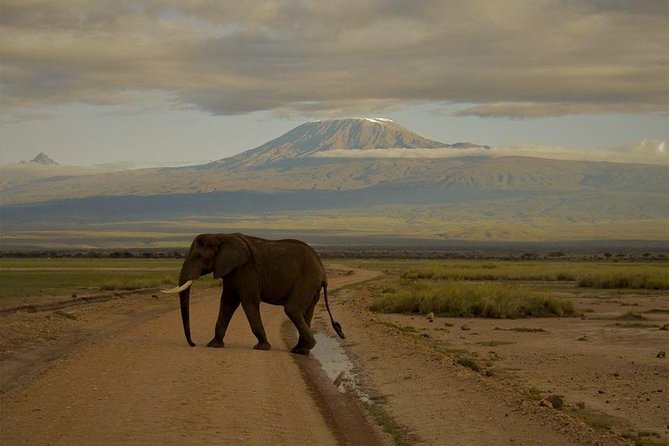 4 Days Maasai Mara-Nakuru Mid-Range - Health Considerations