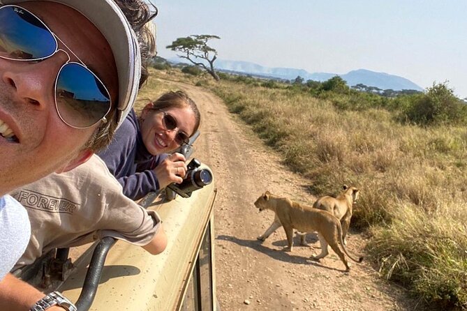 4 Days Safari Tour Tanzania - Day 3: Exploring Serengeti