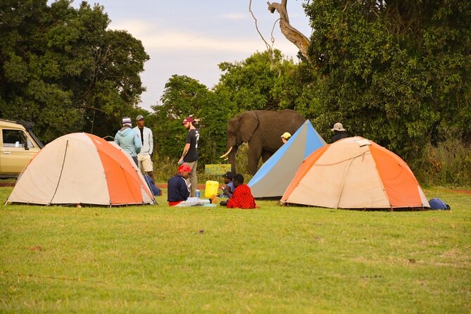 4 Days Tanzania Group Safari to Serengeti, Crater and Tarangire - Safari Booking Details