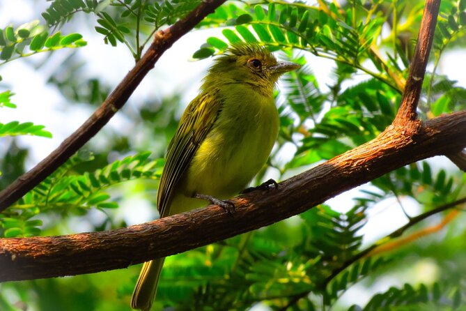 4 Days Tour to Tambopata National Reserve - Pricing and Cancellation