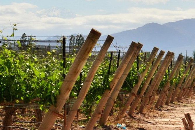 4-Days Trip to Mendoza and The Andes - Tasting Mendozas Finest Wines
