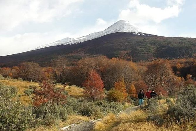 4-Hour National Park - USHUAIA (Shared Tour) - Tour Reviews