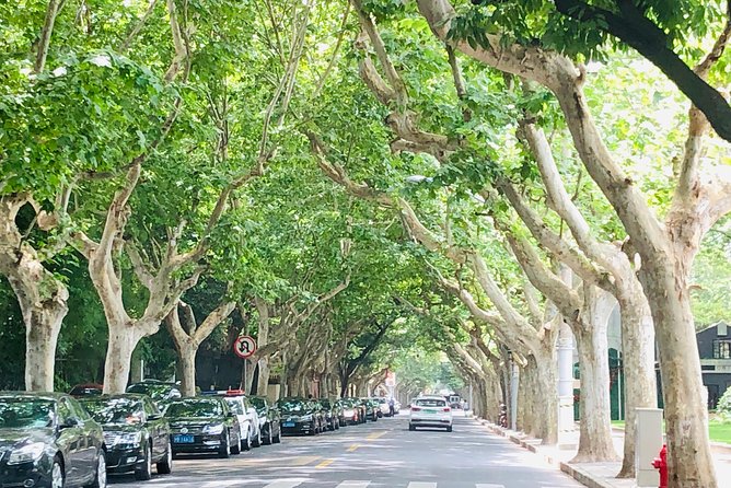 4-Hour Private Shanghai Walking Tour of Former French Concession - Culinary Delights of Shanghai