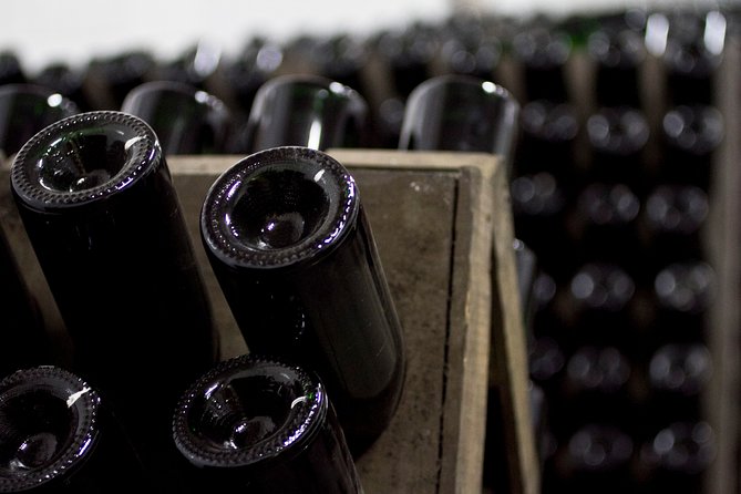 4 Hours Cricova Winery Tour With Tasting - Tour Reviews