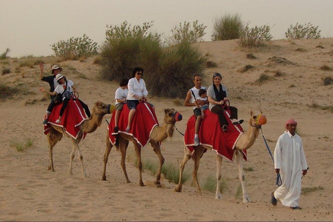 4X4 Dubai Desert Safari With BBQ Dinner, Camels & Live Show - Included Features