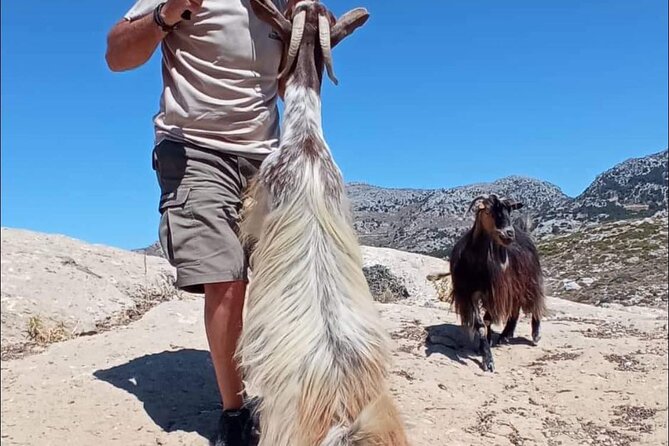 4x4 Safari Tour Southern Crete Tripitis Gorge - What to Bring and Additional Info