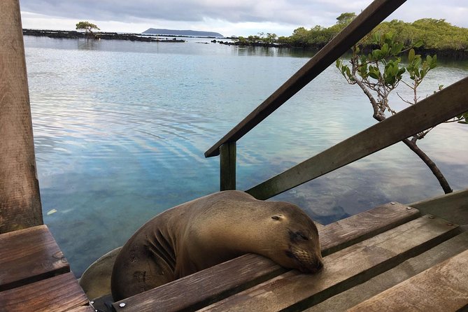 5-Day Galapagos Island Hopping Tour: Los Tuneles, Tintoreras and Isabela - Booking and Cancellation Policies