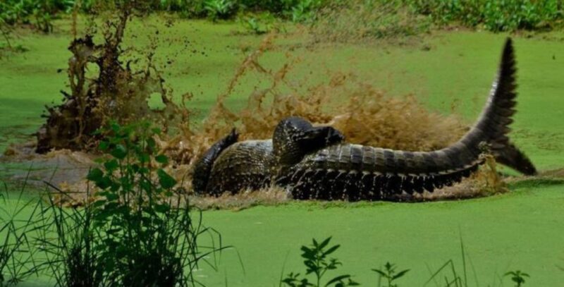 5-Day Nature Wildlife Photography Retreat - Important Details