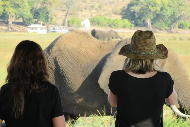 5-Day Victoria Falls and Chobe Tour From Victoria Falls - Exploring Victoria Falls