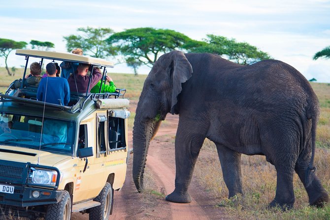 5 Days Lodge Safari. - Confirmation and Accessibility