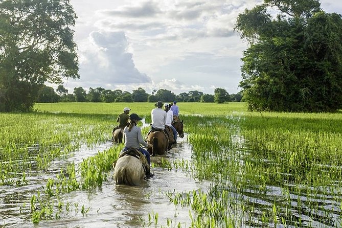 5 Nights Private Pantanal and Bonito Wild Nature Adventure - Outdoor Activities in Pantanal