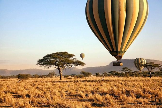 6-Day Budget Lodge Safari in Tanzania - Additional Inclusions