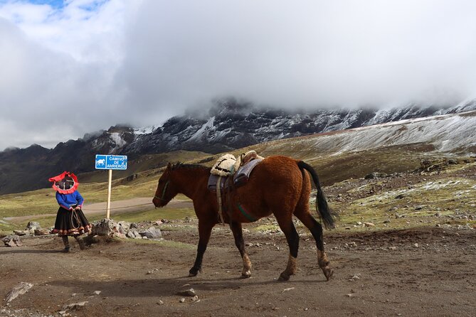 6-Day Cusco Andean Private Tour With Hotel Included - Machu Picchu Experience