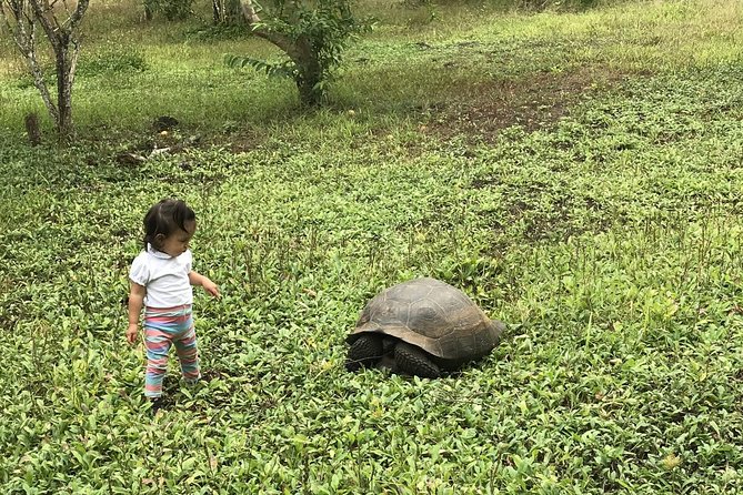 6-Day Galapagos Island Hopping: Kayaking, Mountain Biking and Volcano Hike - Exploring Lush Island Habitats