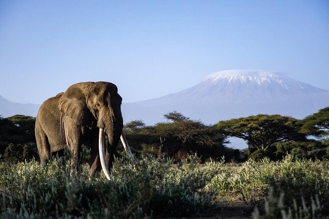 6-Day Maasai Mara, Lake Nakuru and Amboseli Safari - Accommodation Details