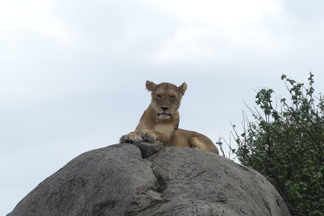 6-Day Northern Safari - Booking Process and Costs