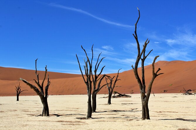 6 Day Private Guided Accommodated Namibian Loop - Important Exclusions to Consider