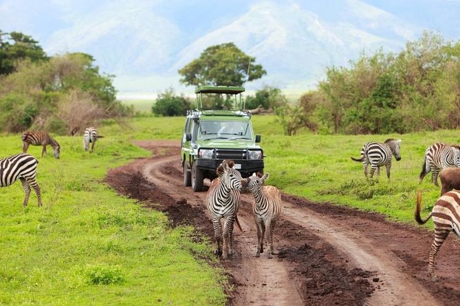 6 Day Tanzania Wildlife Mid Range Safari - Visiting Ngorongoro Crater