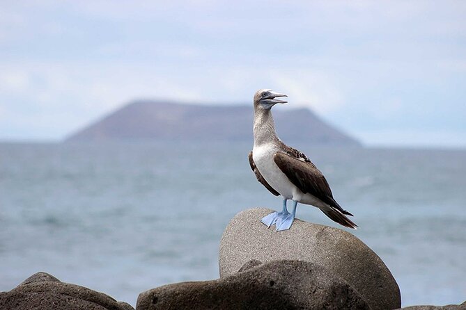 6 Days Galapagos Island Hopping - Transportation and Logistics