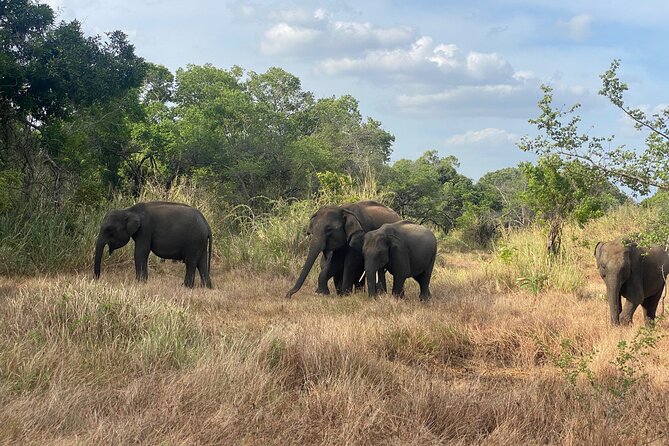 6 Days Heritage Tour in Sri Lanka (Private) - Daily Itinerary Overview