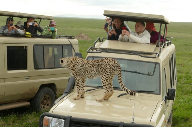 6 Days Tanzania Budget Camping Safari - Accommodation Details