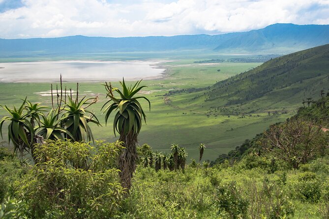 6 Days Tanzania Classic Safari - Day 3: Ngorongoro and Serengeti