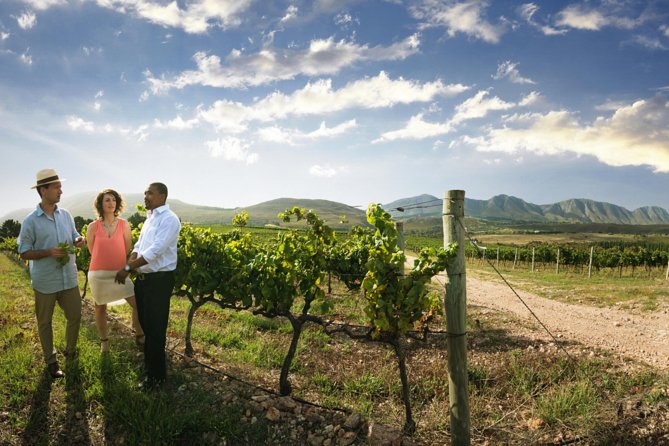 7-day Cape Town, Winelands, Garden Route and Addo National Park - Special Offers and Discounts