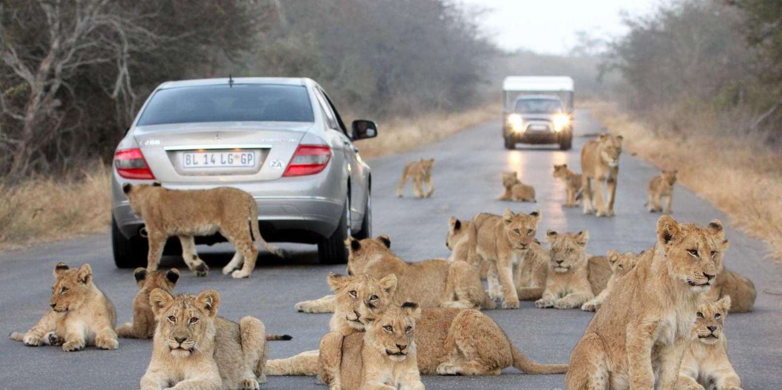 7 Day Garden Route & Addo National Park Durban to Cape Town - Discovering East London and Addo