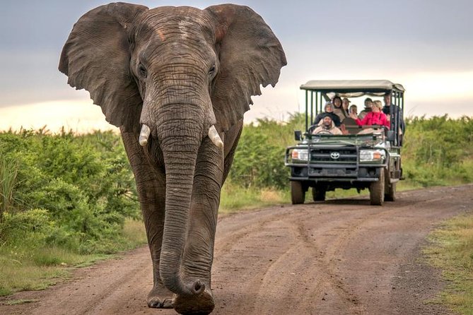 7 Day Garden Route to Addo, Cape Point and Winelands Combo Tour - Meals and Dining
