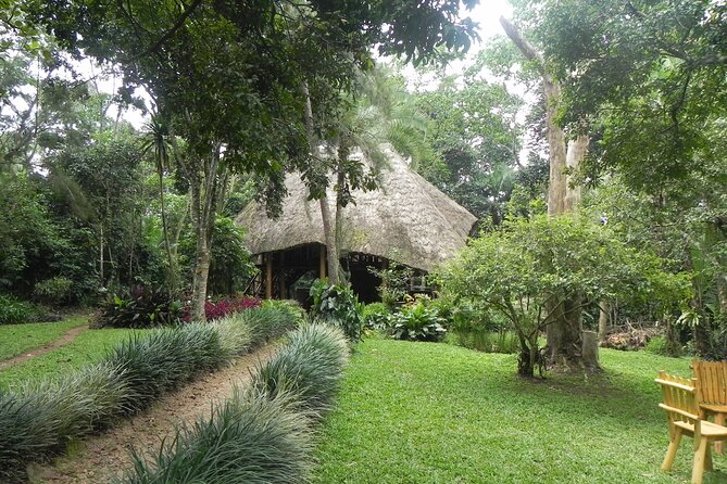 7 Days Flying Gorillas and Wildlife Safari Uganda Private Tour - Pricing Information