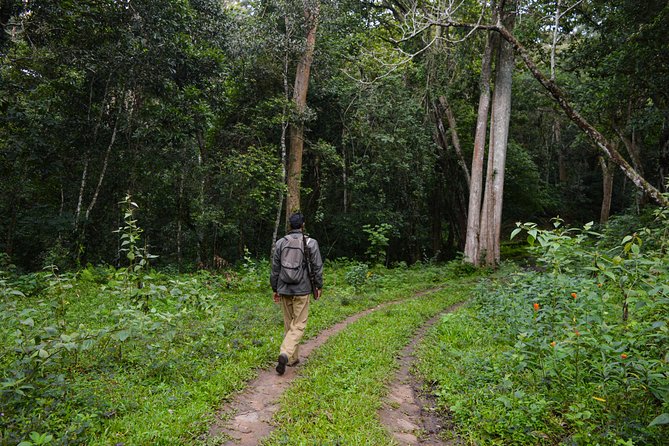 7 Days Kerala Tour- Munnar, Periyar, Houseboat & Varkala Beach - Journey to Thekkady