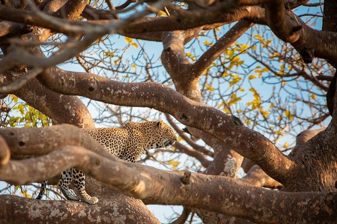 7 Days Maasai Mara, Lakes Nakuru, Naivasha & Amboseli Group Tour - Included Activities and Amenities