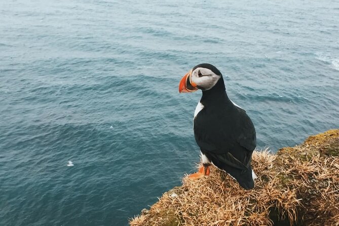 7 Days Self-Drive Tour With Pick up - Westfjords & the West Coast -4x4 Campervan - Additional Details