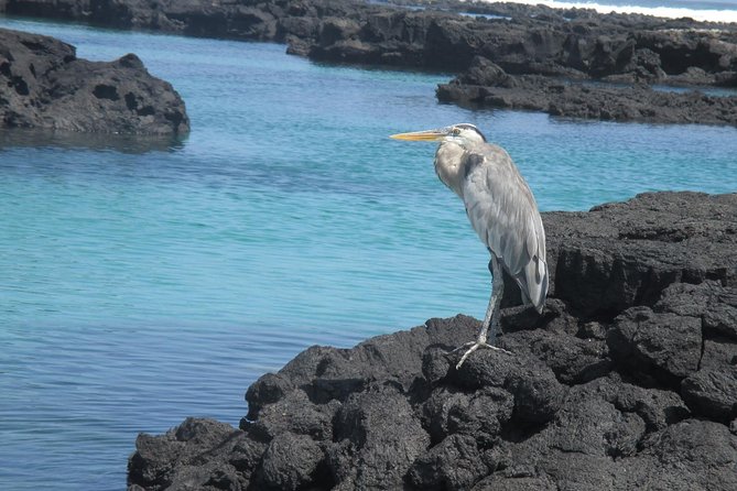 8-Day Galapagos Island Hopping Tour-Explore 5 Islands-Snorkel,Hike & Wildlife - Exploring San Cristobal Island
