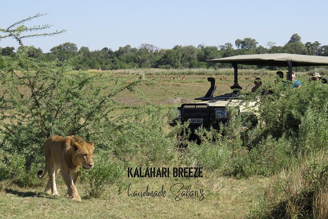 8 Day Highlights Of Botswana & Victoria Falls Overland Tour - Tour Accessibility