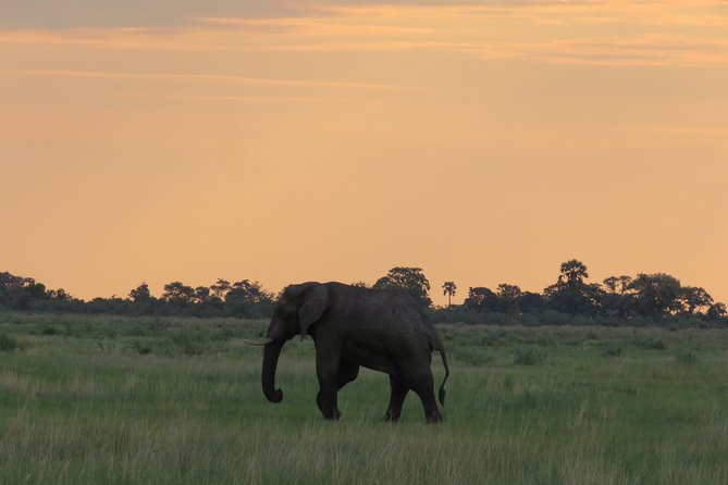8 Day Okavango Safari - Wilderness Trail (Inner Delta & Moremi) - Logistics and Travel