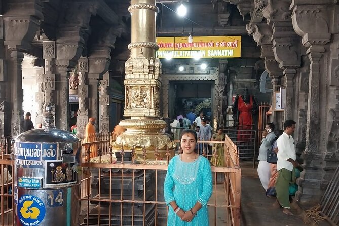 8 Days Private South India Temple Tour With 4 Star Luxury Hotels - Pricing Information
