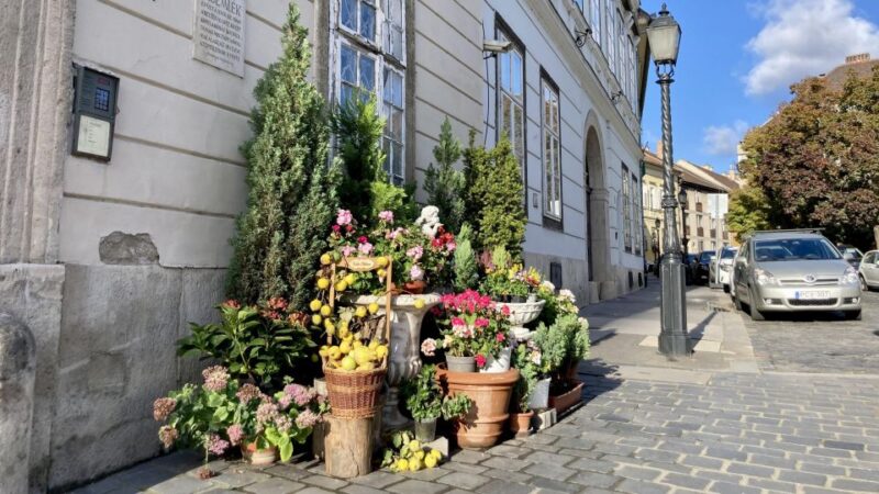 8-Hour Private Budapest City Tour by Public Transportation - Inclusions and Amenities