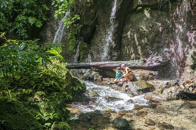 A Day of Relaxation in the Jungle and Waterfalls of Dominica - Booking Information