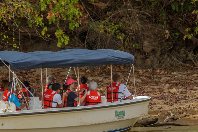 A Day With Nature: Boat Trip on Gatun Lake and The Aerial Tram - Ascending the Aerial Tram