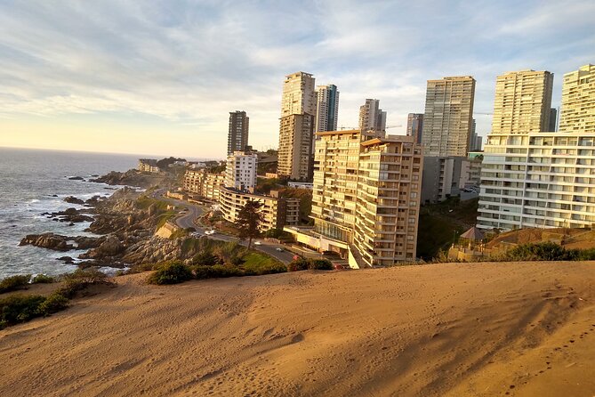 A Private Day Trip to Viña Del Mar and Valparaíso From Santiago - Valparaiso Sightseeing Tours