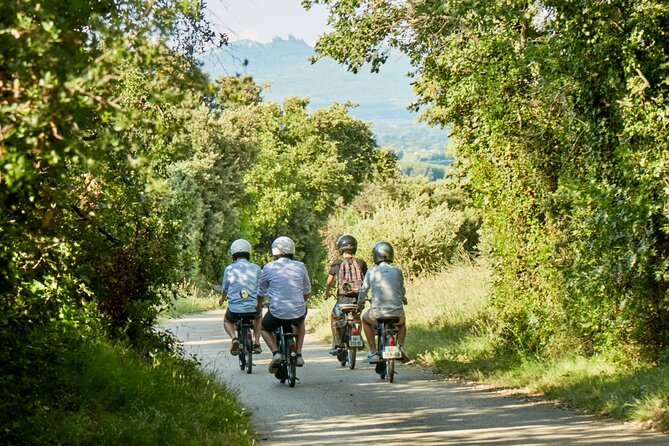 A Tour in Provence in a Typical French Motorized Bike : the Solex - Customer Reviews