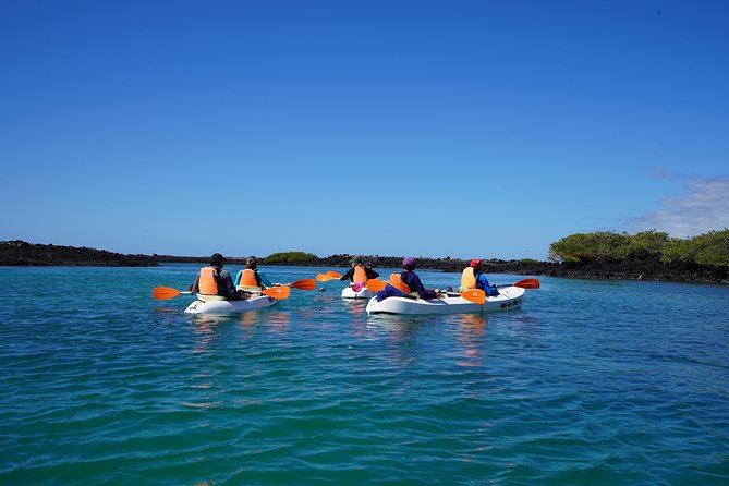 Active Galapagos Island Tour 10 Days - Customer Feedback