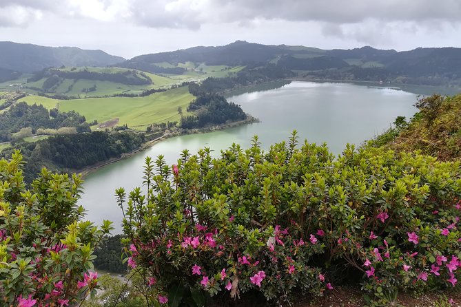 Adapted Van Tour - Furnas (Full Day) - Gorreana Tea Tasting